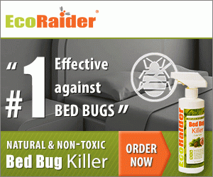 Eco Friendly Bed Bug Killer